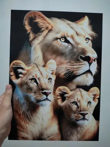 Kit quadros Decorativos em MDF 6 - Foto 4