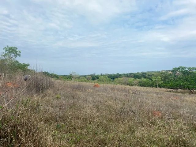 Chácara de 20.000 m² toda cercada, com riacho nos fundos, Jaboticatubas. - Foto 8