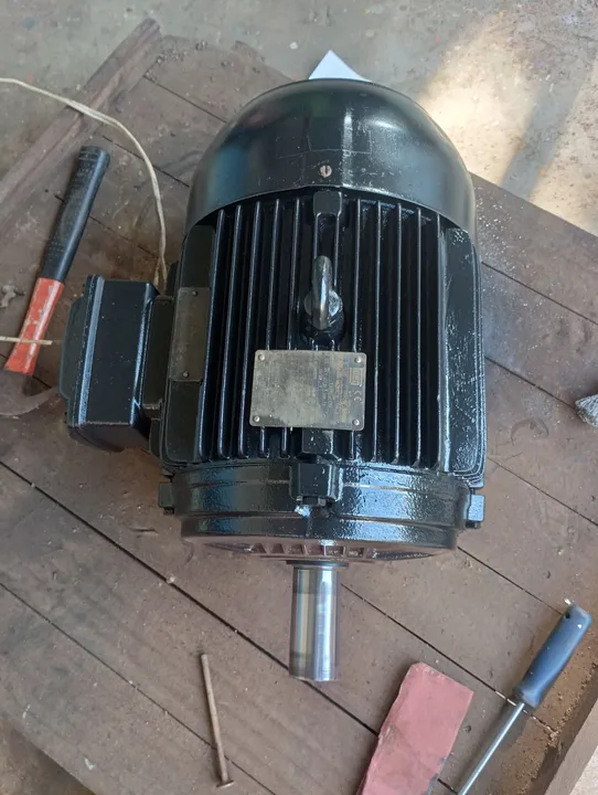 Motor Weg 10 CV