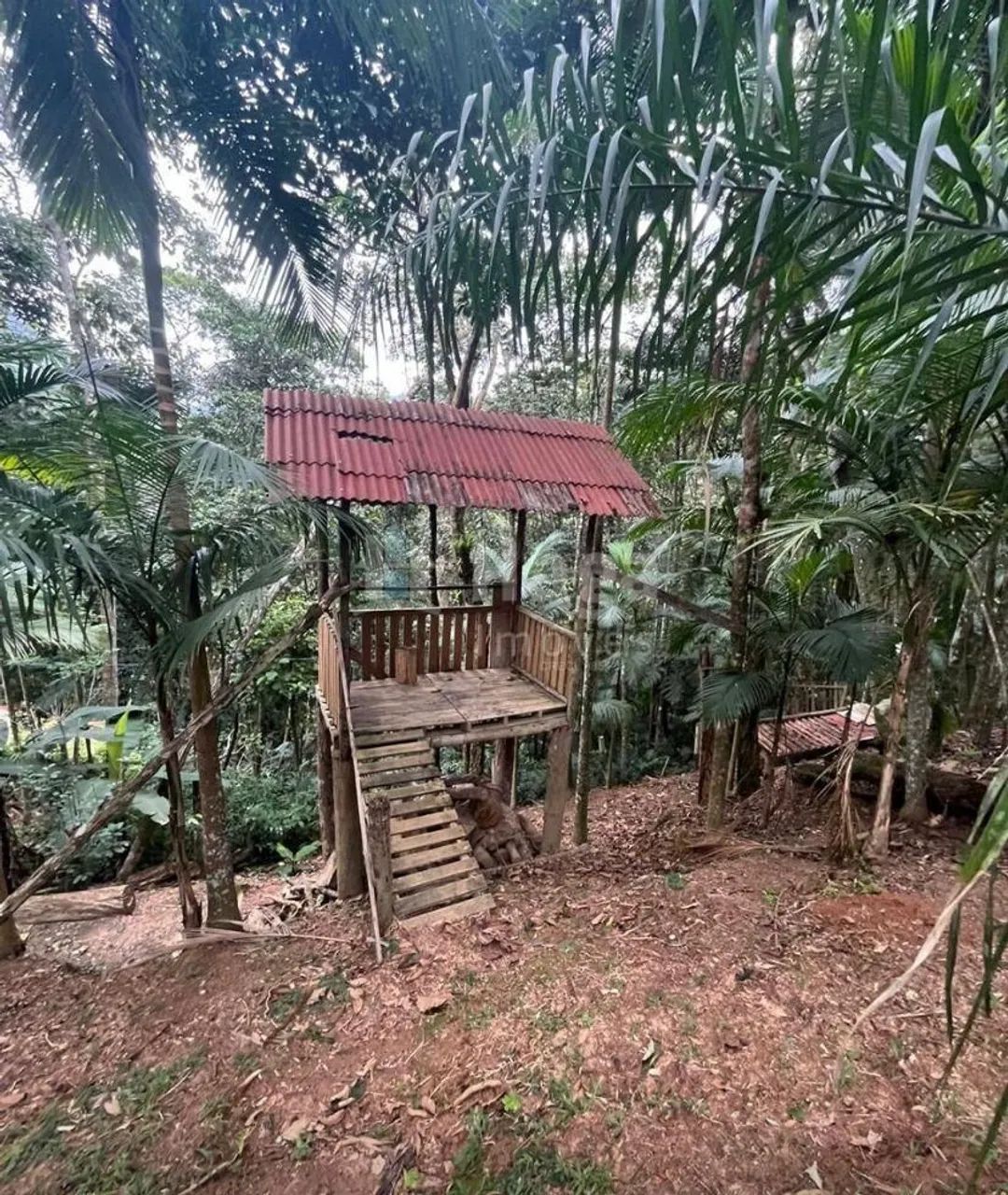 Sítio à venda em Canelinha/SC - Foto 5