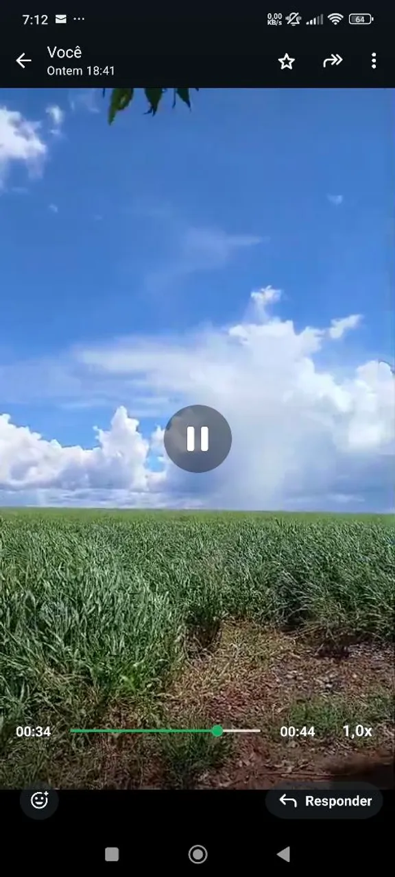 Fazenda de arrendamento 1.500hec em primavera do leste MT.