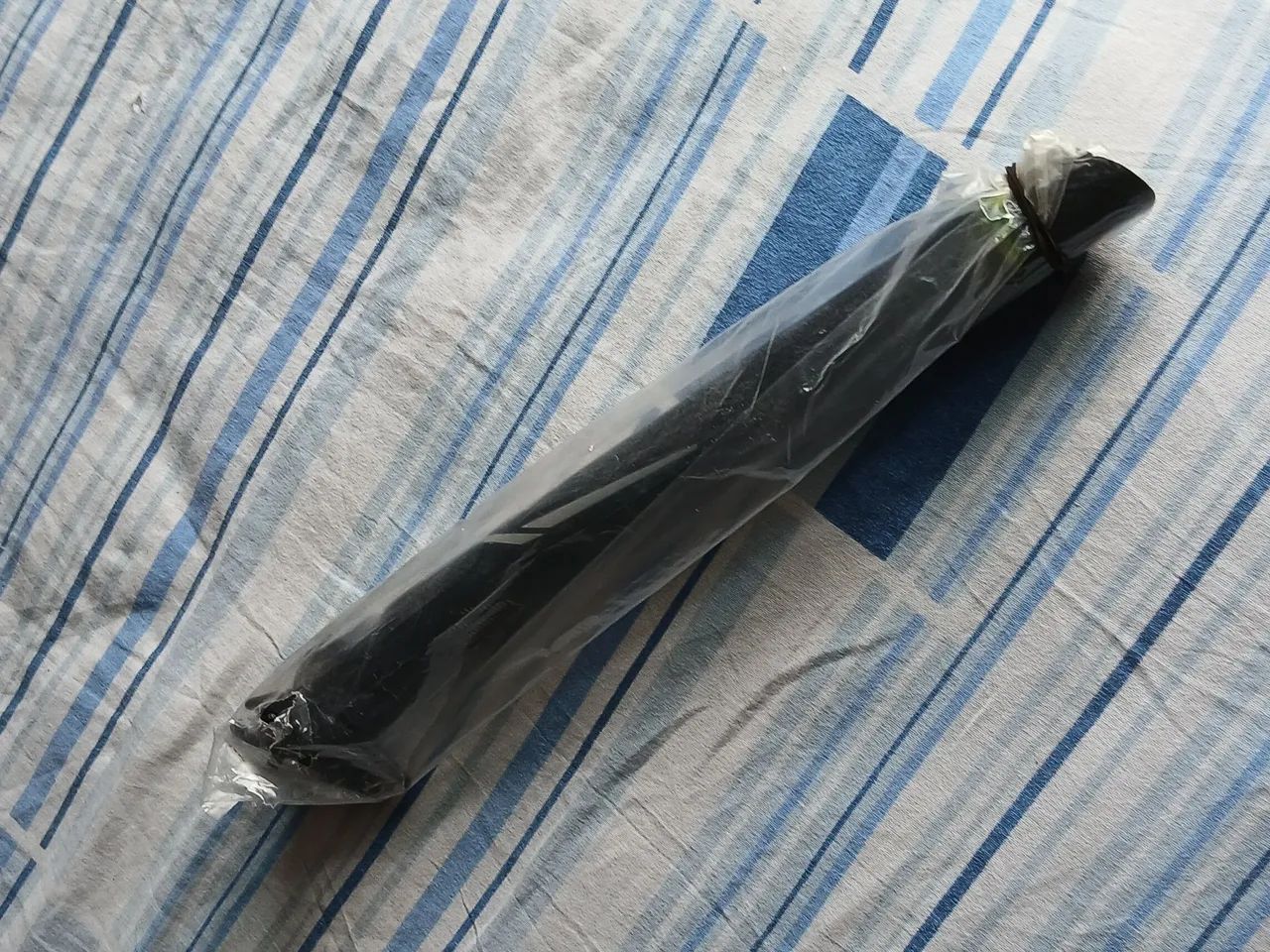 Canote carbono 31.6