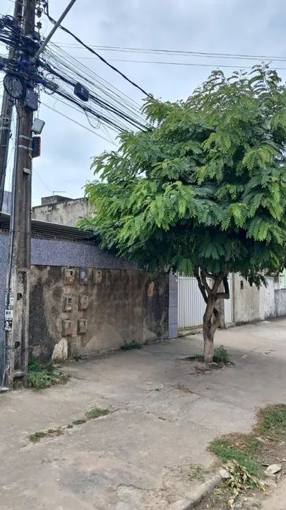 foto - Paulista - Nossa Senhora da Conceição