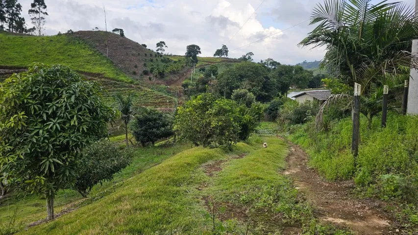 CHACARA PARA VENDA, BR262. PINGA FOGO CONCEIÇÃO DO CASTELO- ES