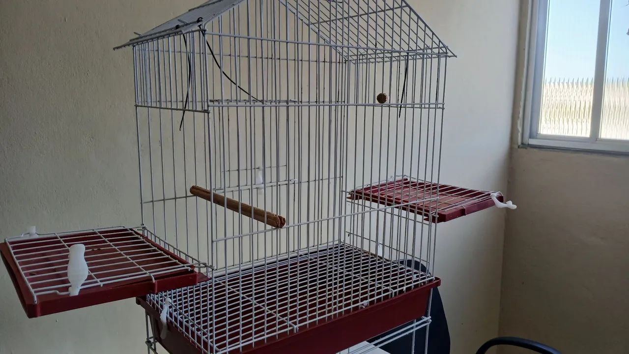 Gaiola para calopsitas 