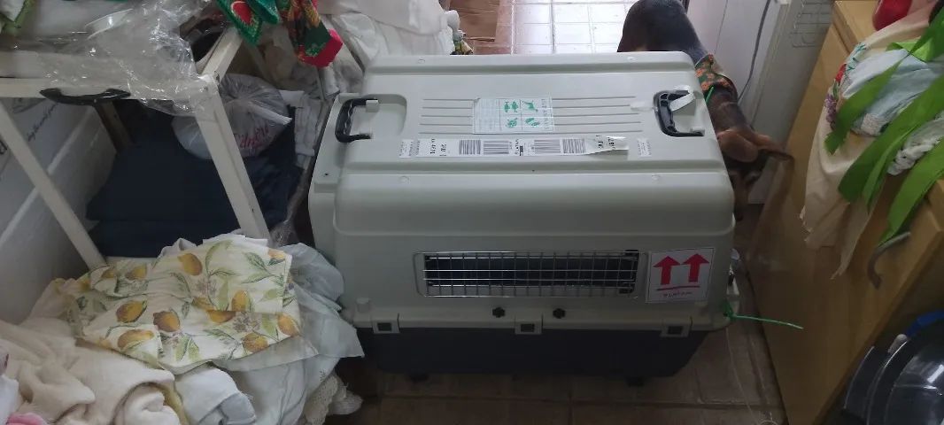 Caixa de Transporte para animais Iata - Foto 5