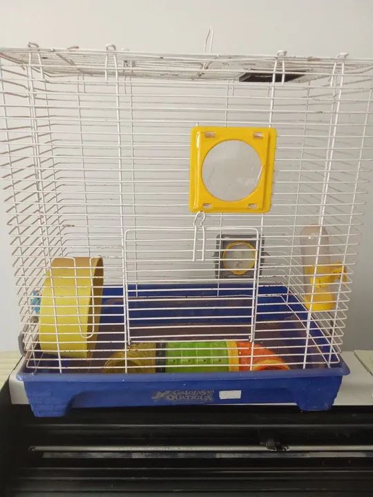 Gaiola para Roedores - Quatiquá - Foto 3