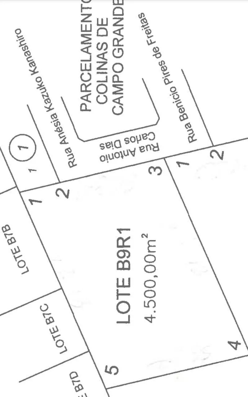 ÁREA 4500M2 PIONEIRO  - Foto 5