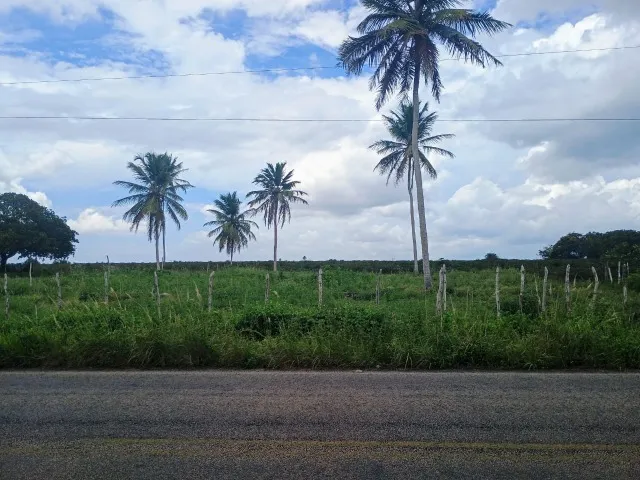 Excelente terreno em Monte Alegre