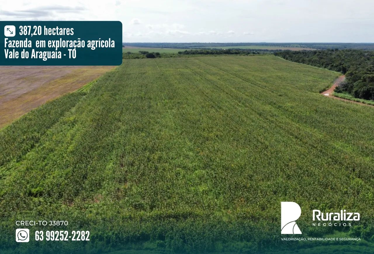 Fazenda em exploração agrícola, Vale do Araguaia - TO