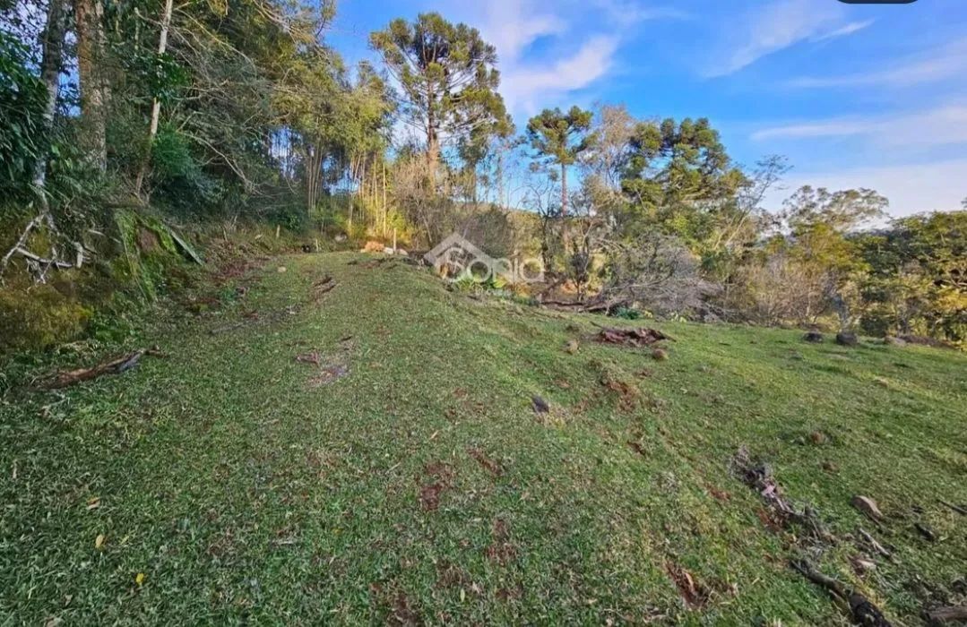 2 hectares com vista privilegiada 