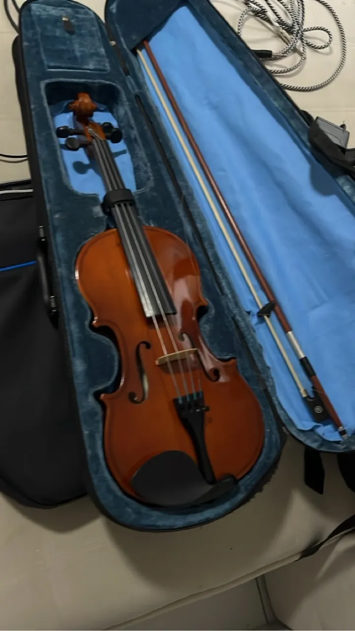 Violino Completo em Perfeito Estado