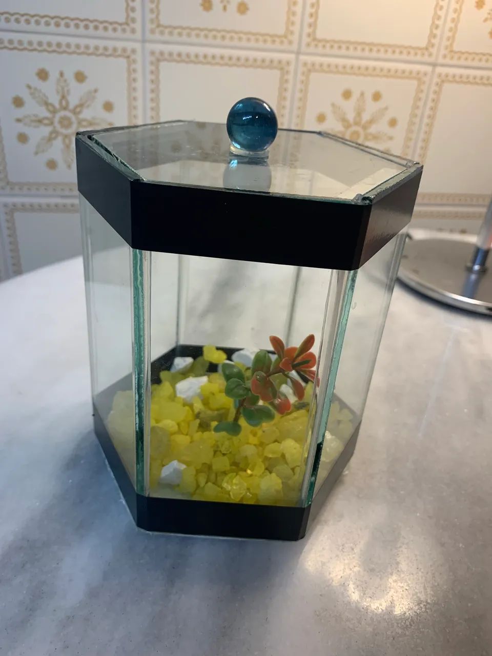 Aquário para peixe Betta - Sextavada