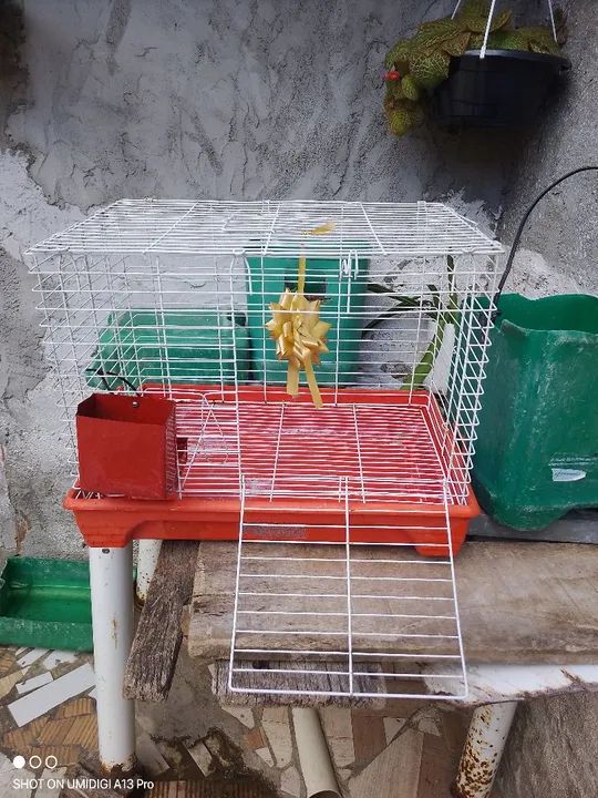  Vende se Gaiola para Roedores - Foto 5