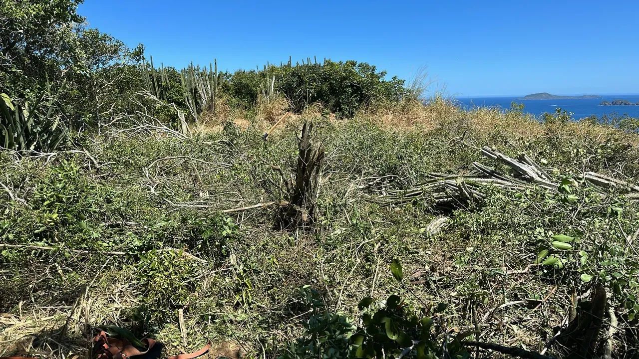 Terreno em Novo geriba