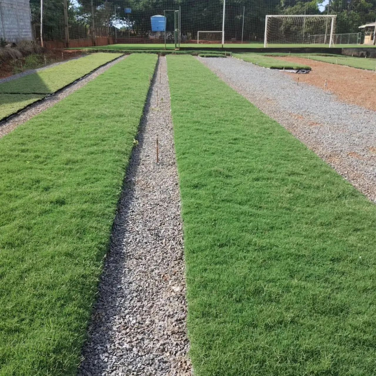 A & V PLANTAÇÃO DE GRAMA BERMUDA  - Foto 2