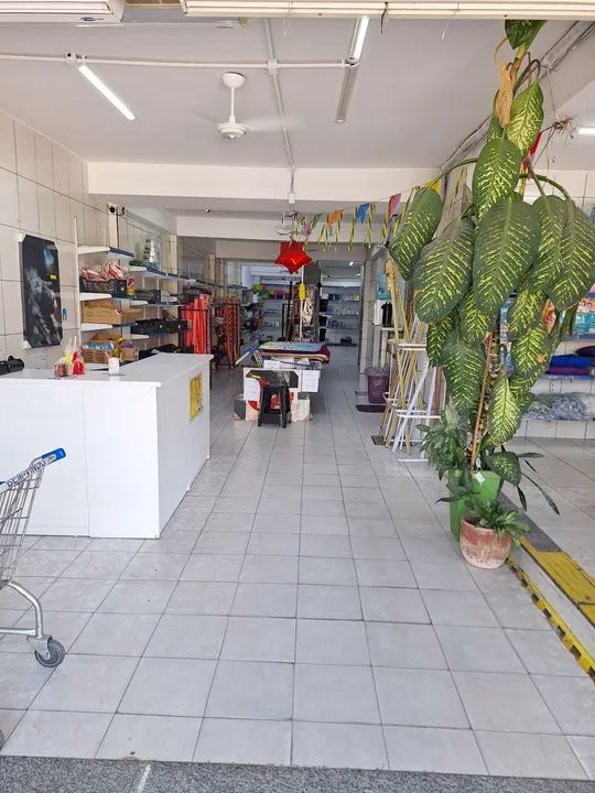 Abaxei! Oportubidade Loja/Galpão cama, mesa e banho completa com mais de 800m² documentada - Foto 3