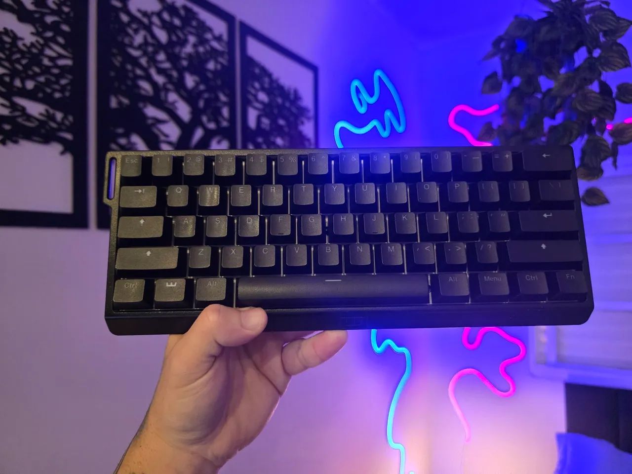 Teclado Wooting 60he+64175480252930120