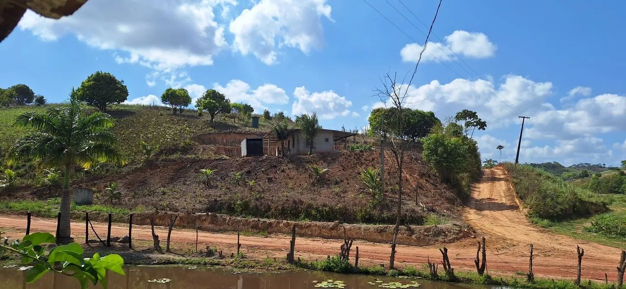 Sítio com casa em área verde - Foto 2