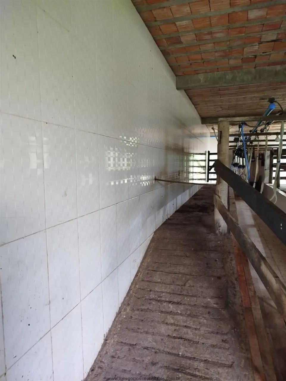Fazendas para venda em Sete Barras no bairro Mamparra - Foto 5