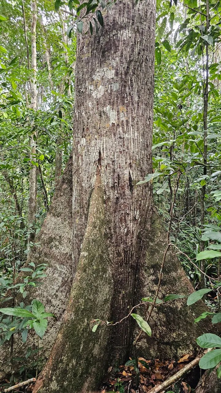 Terreno na PRAIA dentro do condomínio  - Foto 4