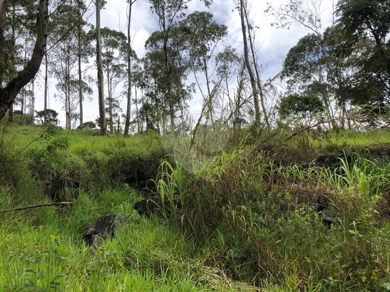 Terreno à venda em Barreiro - SP - Foto 5