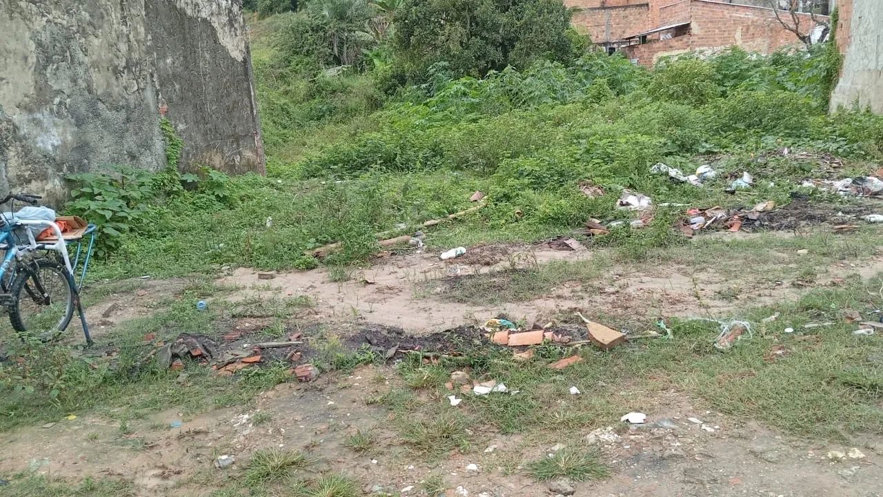 Tereno 
