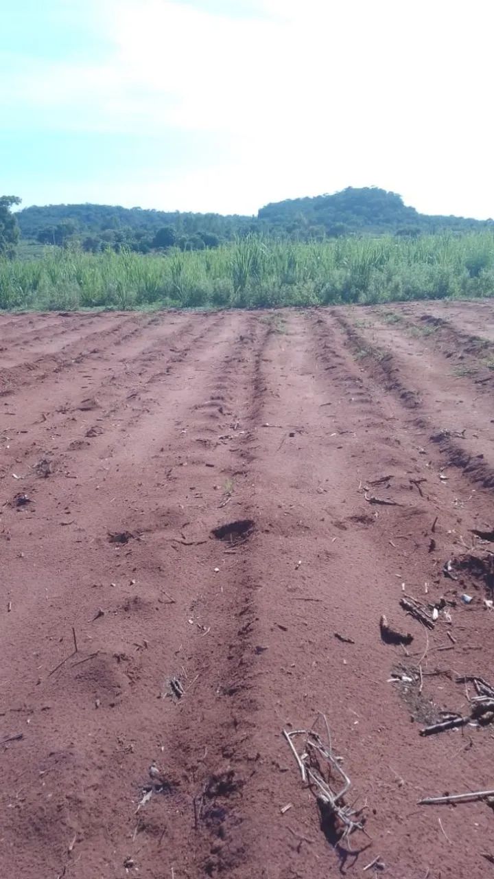 ? Chácara de 7 hectare,  em Rio Verde/MS - Foto 3