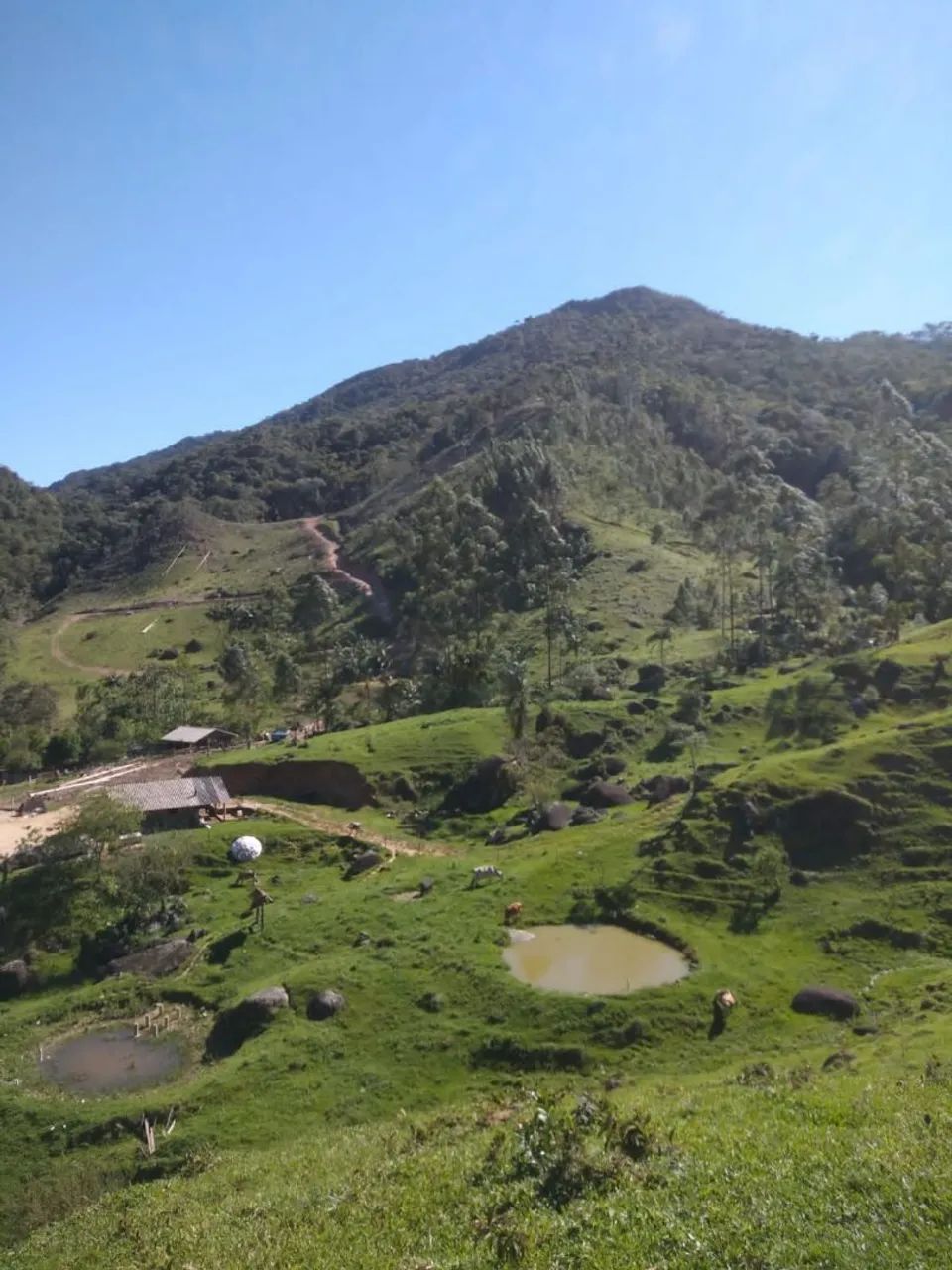 Fazenda a venda MAJOR GERCINO  - Foto 2