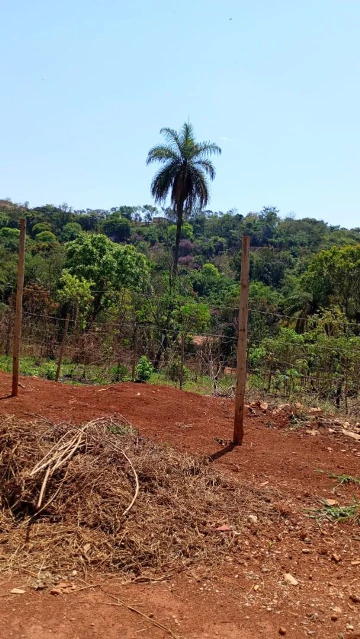 Lotes em mateus leme 