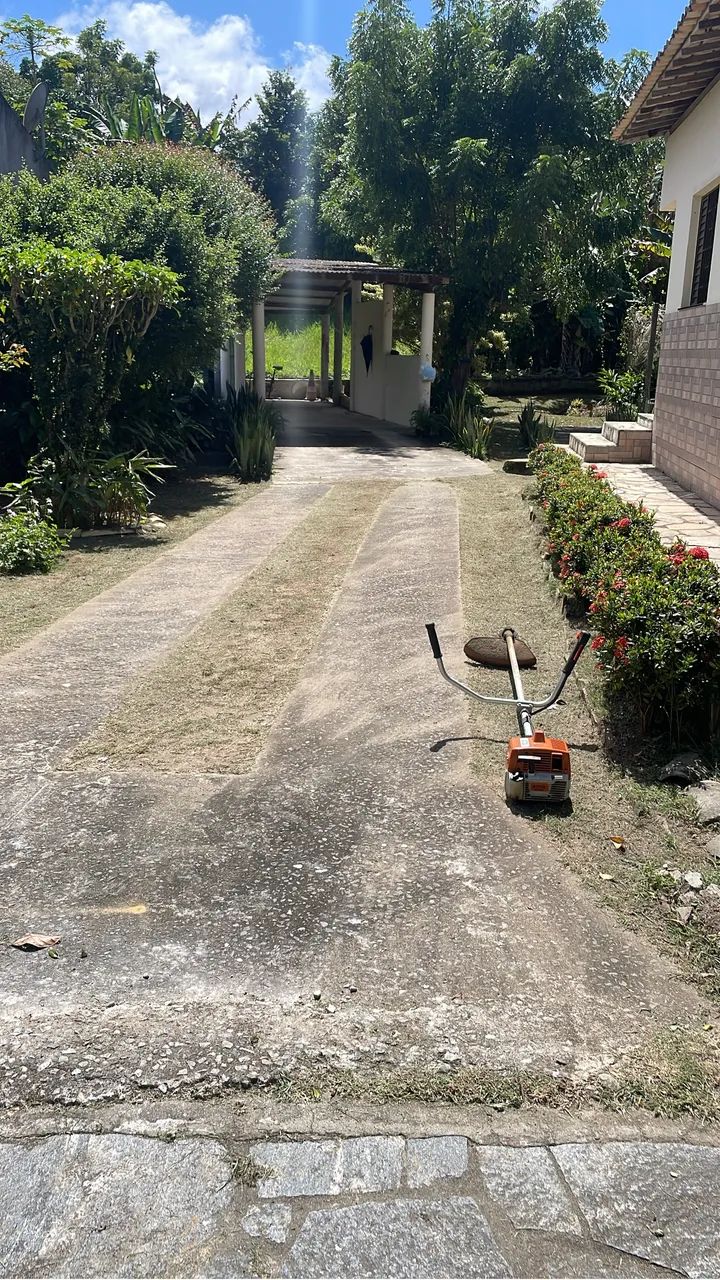 Serviço de roçagem / roçadeira / quintal, terrenos, lotes, condomínios  - Foto 2