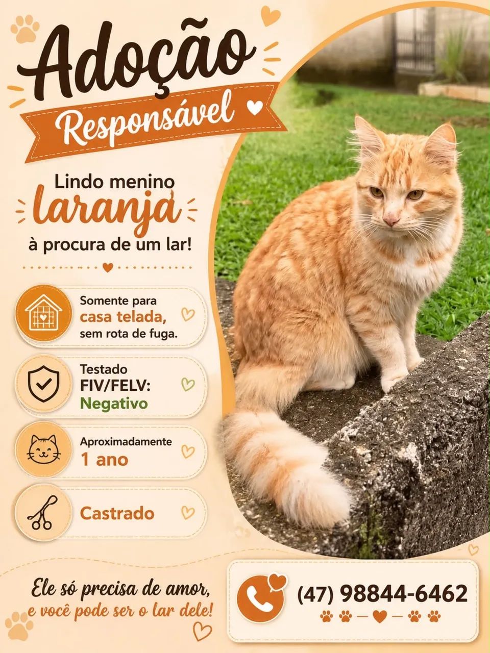 Doação 