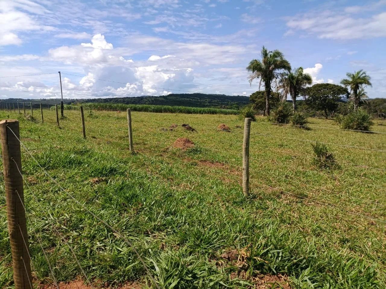 Fazenda em Arenópolis-go