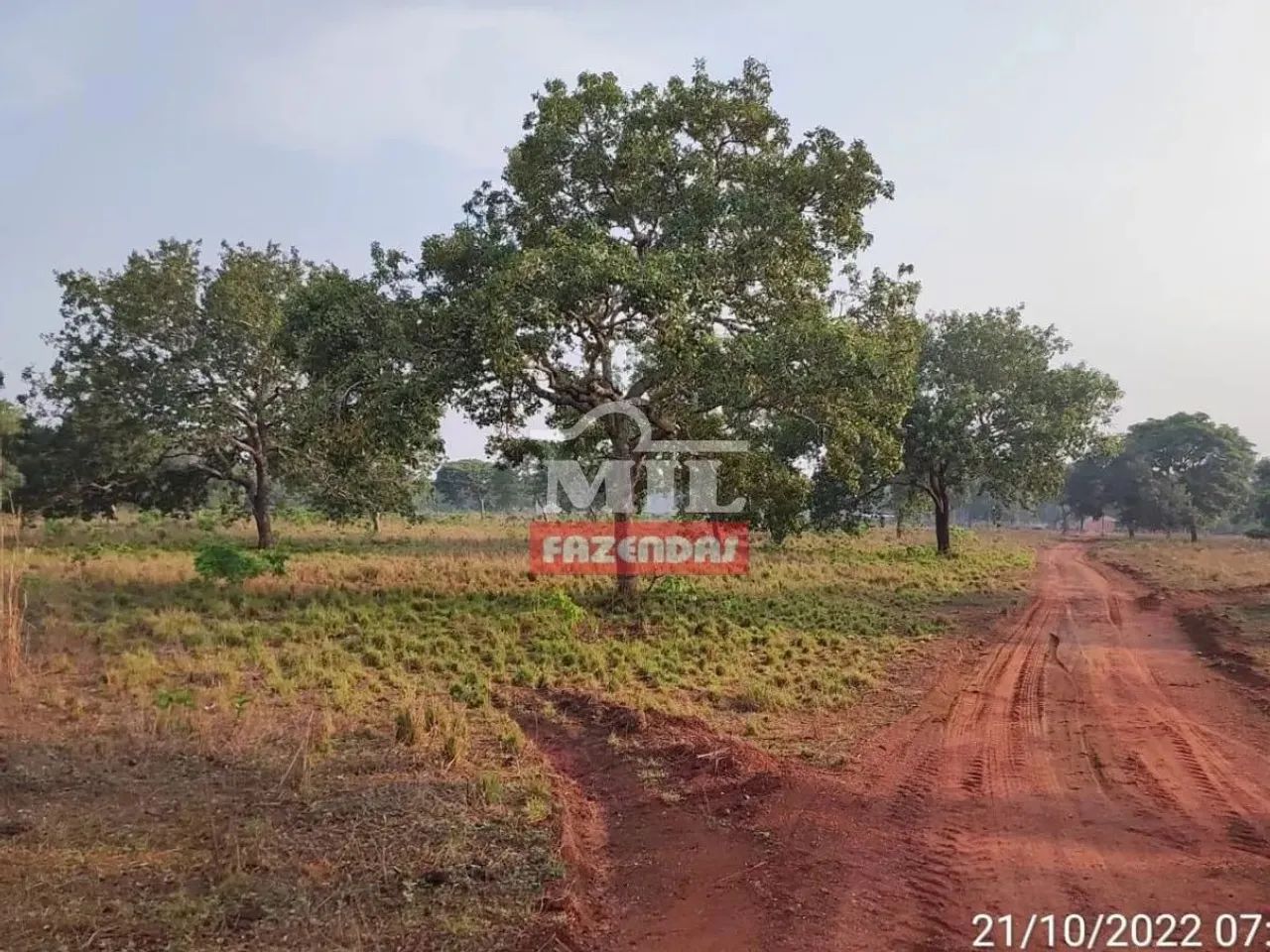 Fazenda 130 Alqueires (630 Hectares) Abreulandia - TO - Foto 2