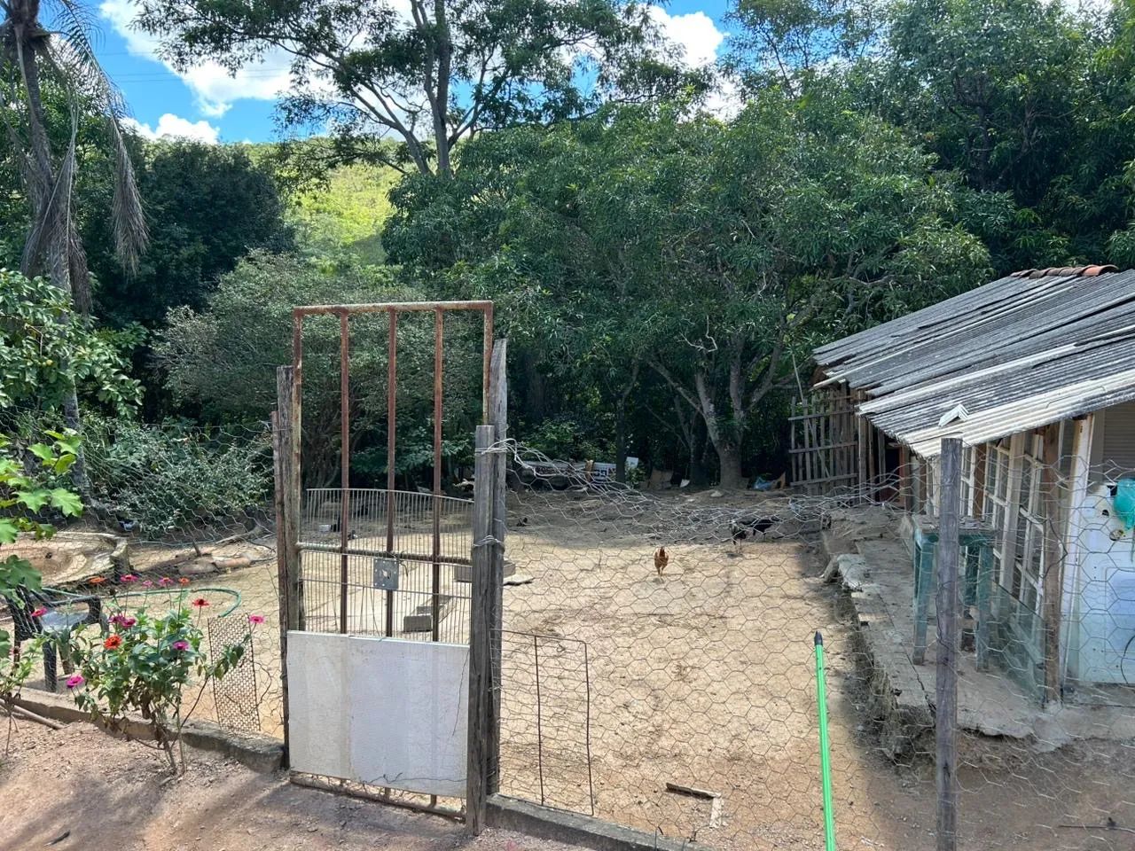Vendo Excelente Chácara no Gama  - Foto 2