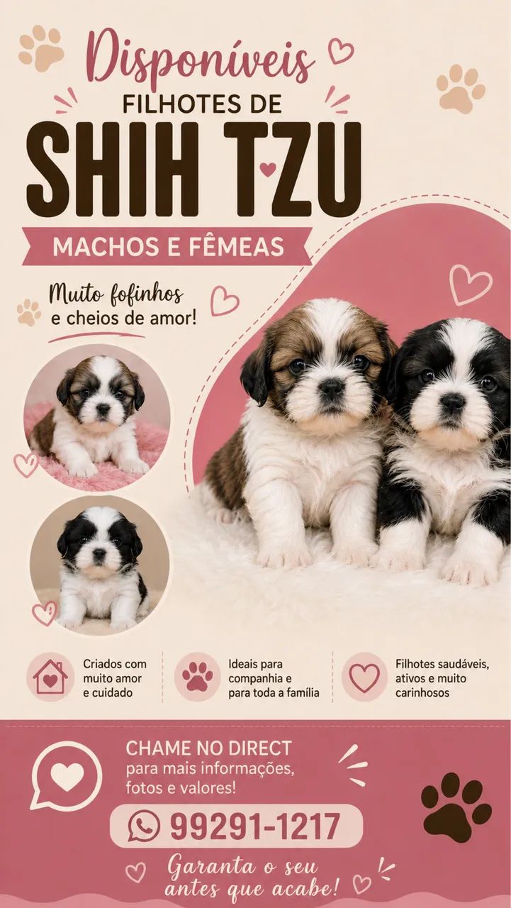 Shihtzu