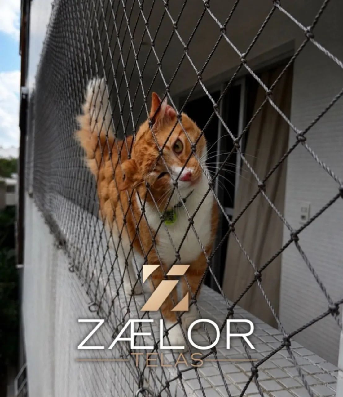 REDE DE PROTEÇÃO PARA GATOS