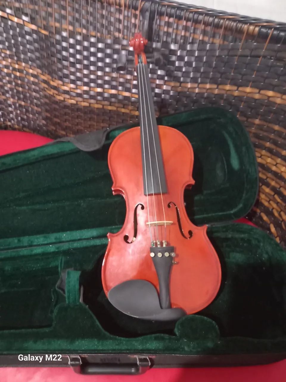 Violino