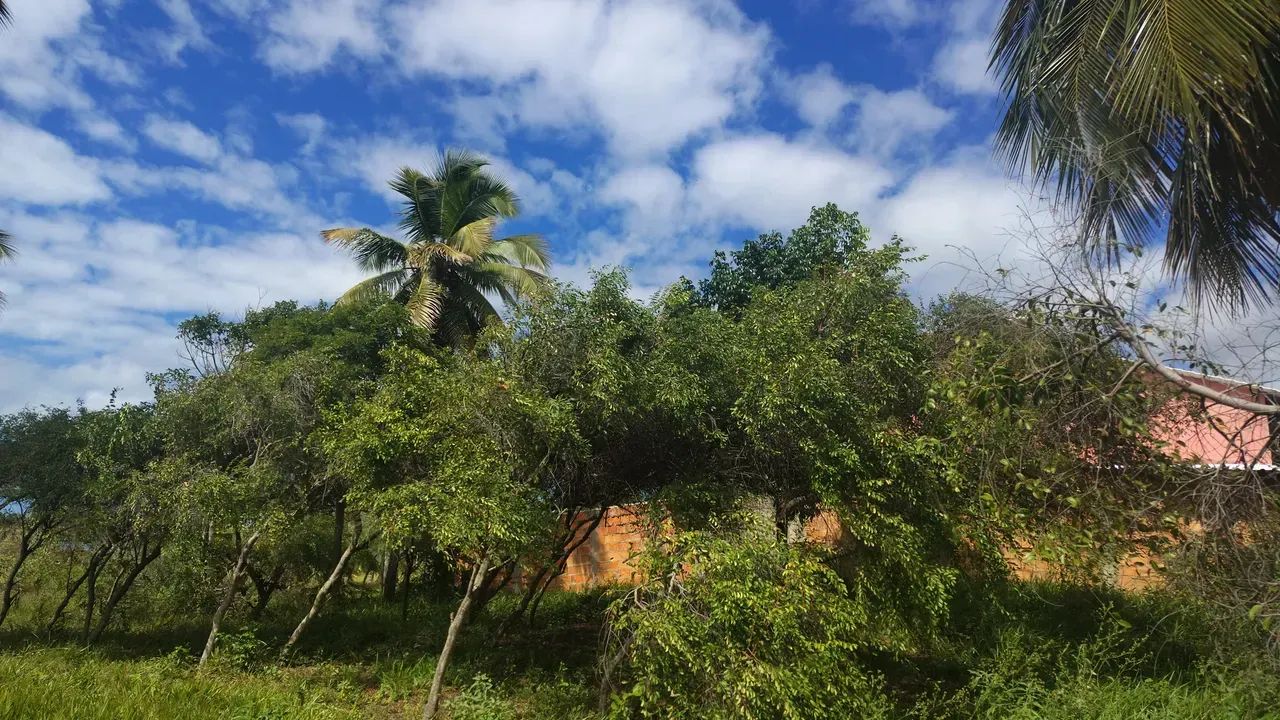 área lagoa tambaquis beira lagoa - Foto 4