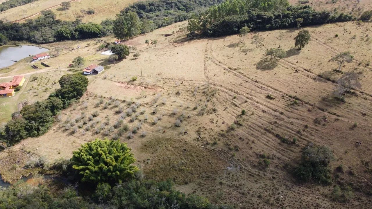 FAZENDA COM 73 HECTARES. - Foto 4