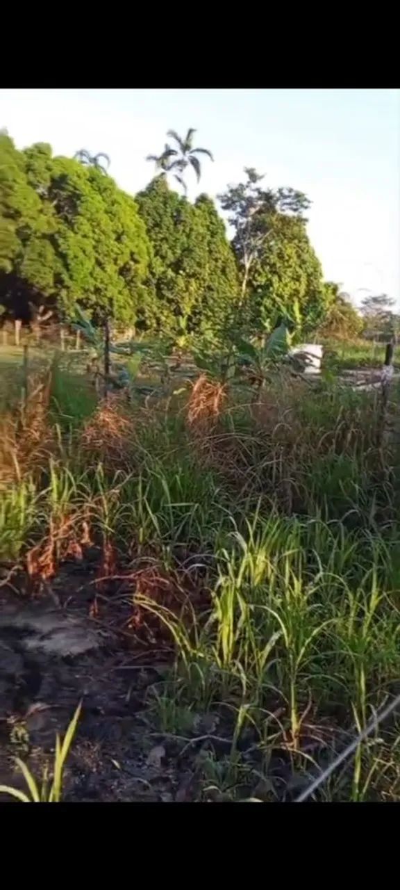 Vendo esse terreno no bairro belo jardim 2  - Foto 2