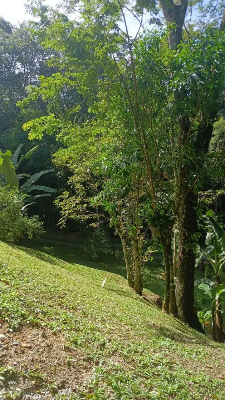 SÍTIO A VENDA em CAMBORIÚ  - Foto 2