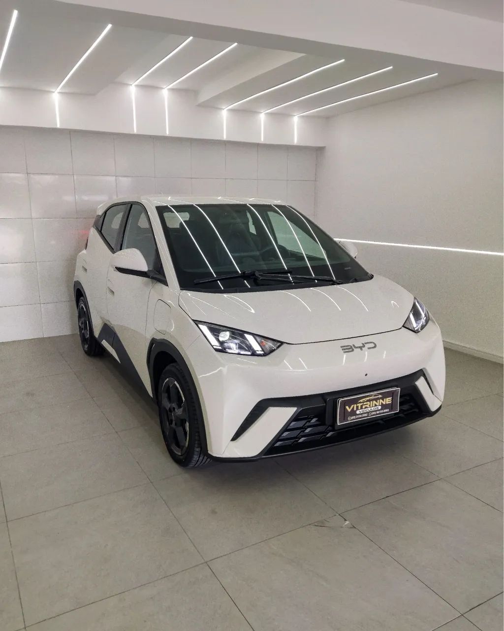 BYD Dolphin Mini (Elétrico) 2025 - Foto 3