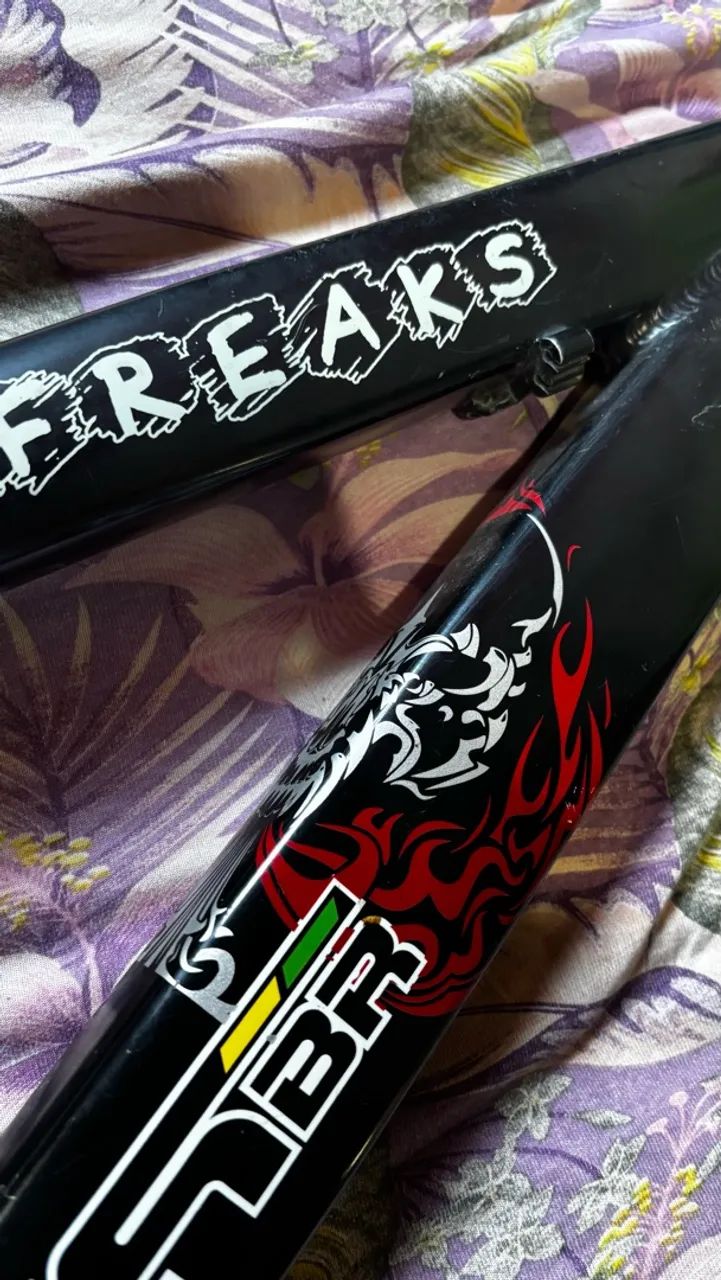 Quadro gios 4freaks 2015 - Foto 2