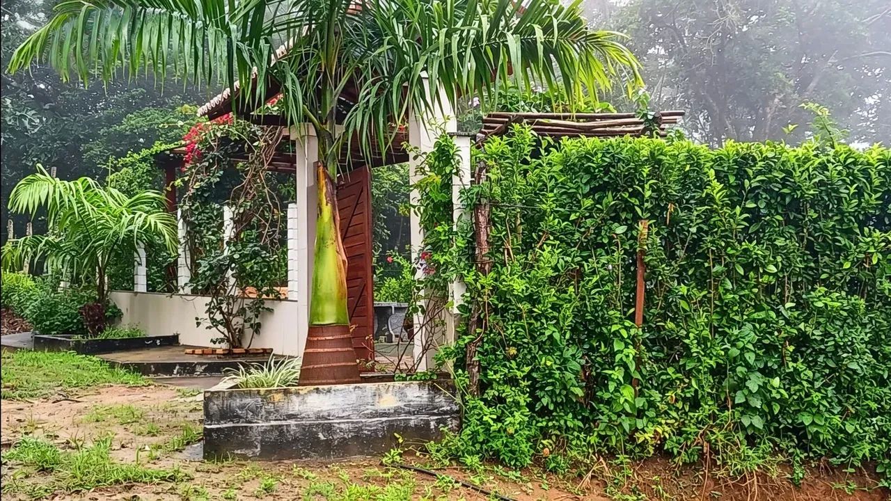 CHÁCARA  EM GUARAMIRANGA  CLIMA DE SERRA E SOSSEGO PAGAMENTO FLEXÍVEL - Foto 3