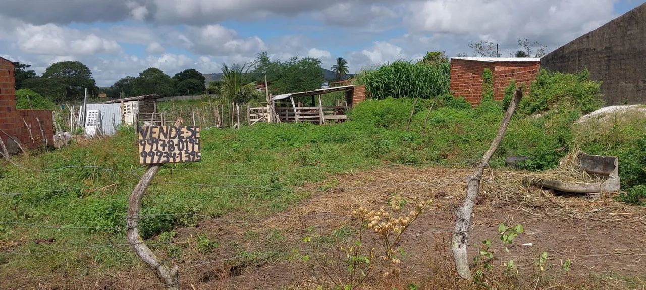 Vendo esse Terreno 7×25 em Campo do Brito.  - Foto 5