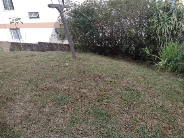 Jardinagem, jardineiro, podas, limpezas de terrenos - Foto 3
