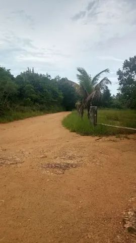 BÚZIOS - Terreno Padrão - RASA - Foto 5