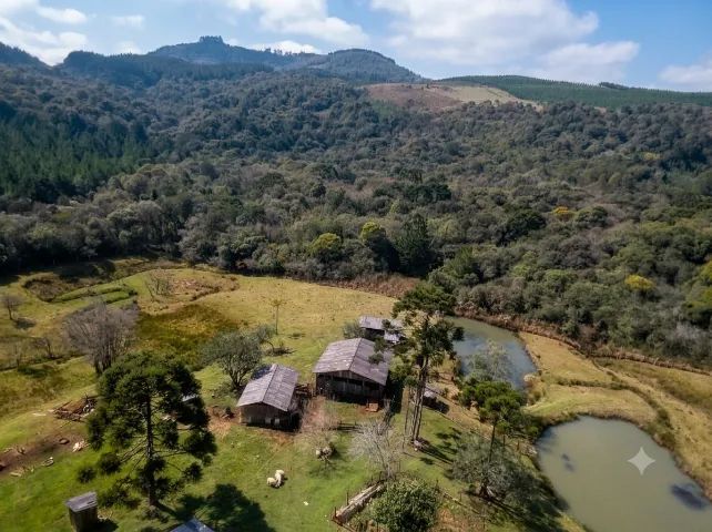 TERRENO 12,7 HA