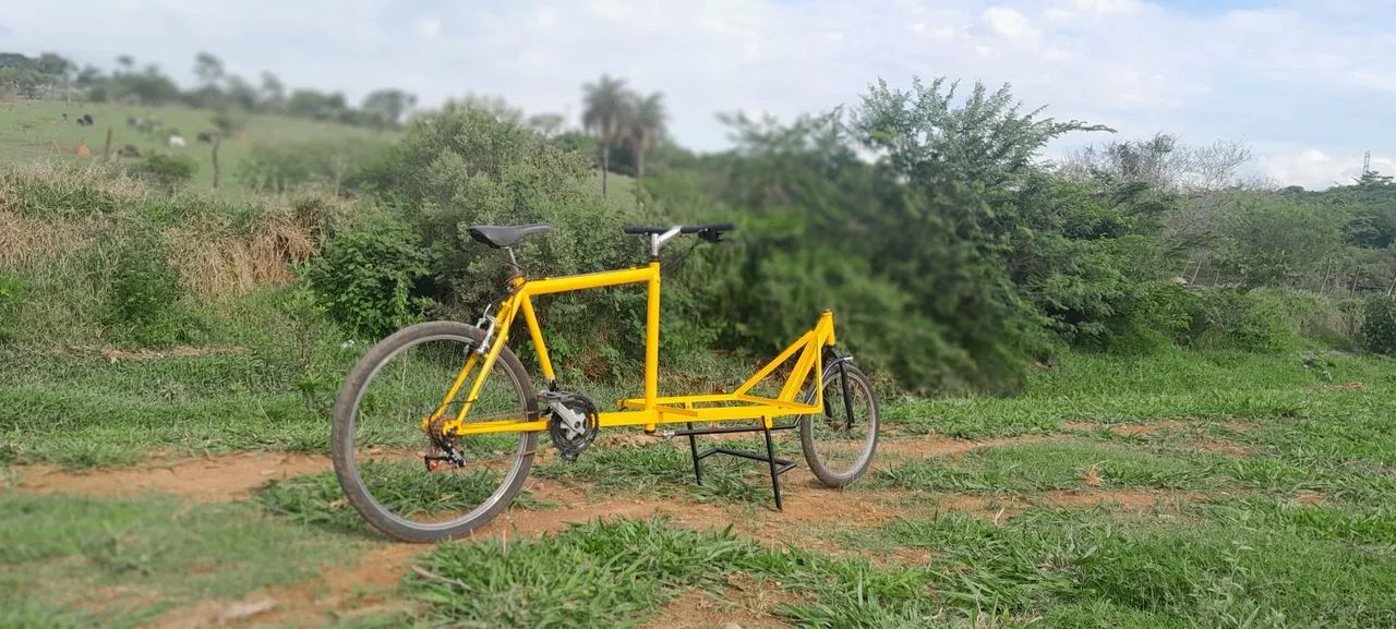 Cargo bike (bakfiets)